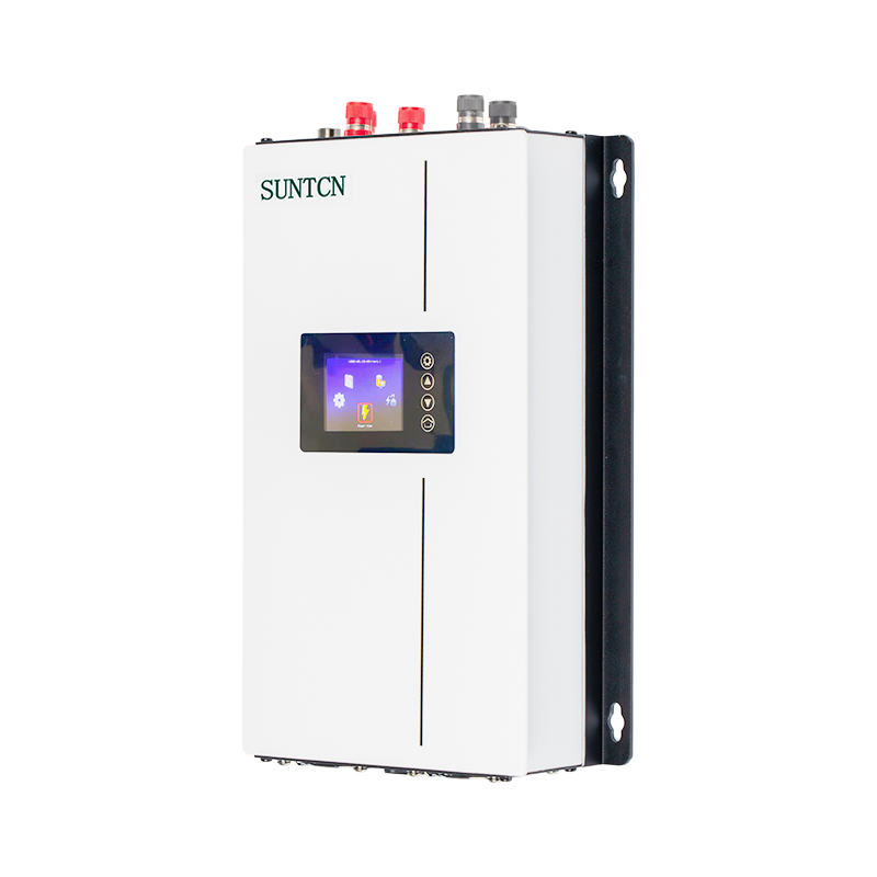 1000W WAL উইন্ড-টারবাইন ইনভার্টার 